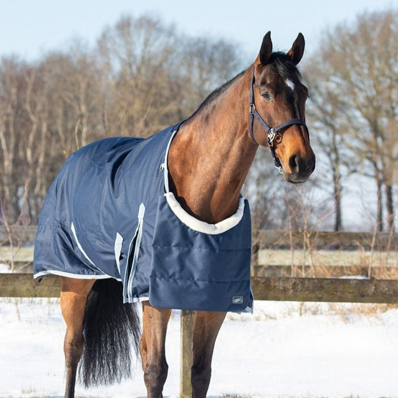 Protection de poitrail pour poneys et chevaux QHP Ontario marine