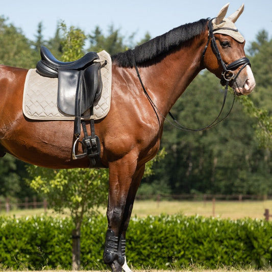 Tapis de selle et bonnet anti-mouches pour poneys et chevaux QHP Fading noir modèle dressage