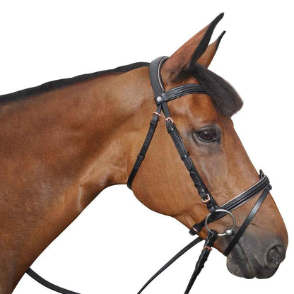 Bridon pour poneys et chevaux Canter Rosegold noir porté