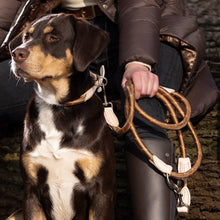 Charger l&#39;image dans la galerie, Laisse pour chiens HKM Anam Cara Corde marron
