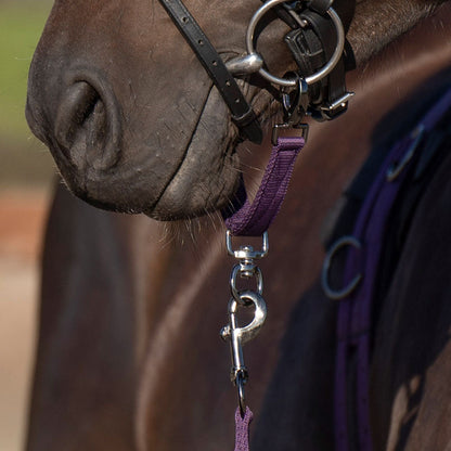 Alliance de mors pour poneys et chevaux Imperial Riding prune