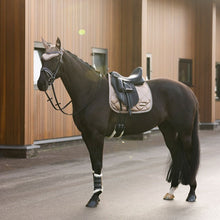 Charger l&#39;image dans la galerie, Bonnet anti-mouches pour chevaux Imperial Riding Lovely café
