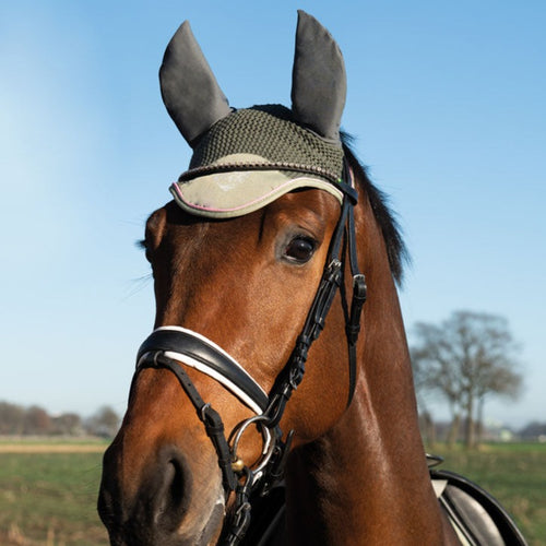 Bonnet anti-mouches pour shetlands, poneys et chevaux HKM Horse Spirit olive porté