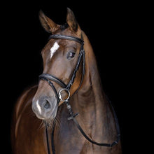Charger l&#39;image dans la galerie, Bridon avec rênes pour shetlands, poneys et chevaux HKM Jana noir porté

