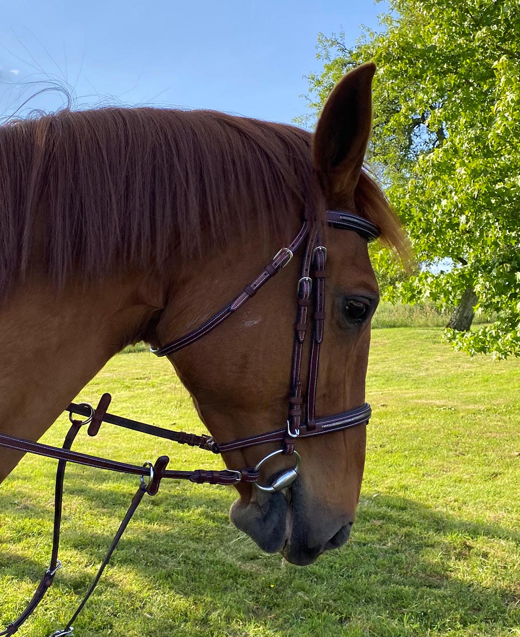 Bride anglaise en cuir brun, taille cheval | Acheter sur Bride anglaise en cuir brun, taille cheval | Acheter sur