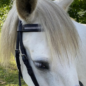 Bridon en cuir naturel pour poneys et chevaux Flags&Cup Kitsi noir