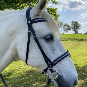 Bridon en cuir naturel pour poneys et chevaux Flags&Cup Kitsi noir