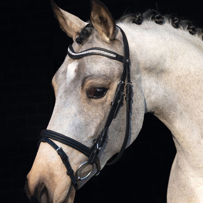 Bridon pour mini-shetlands, shetlands et poneys HKM Little Star