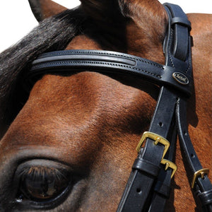 Bridon en cuir avec muserolle combinée pour poneyx Canter Bombé Carré noir détail têtière