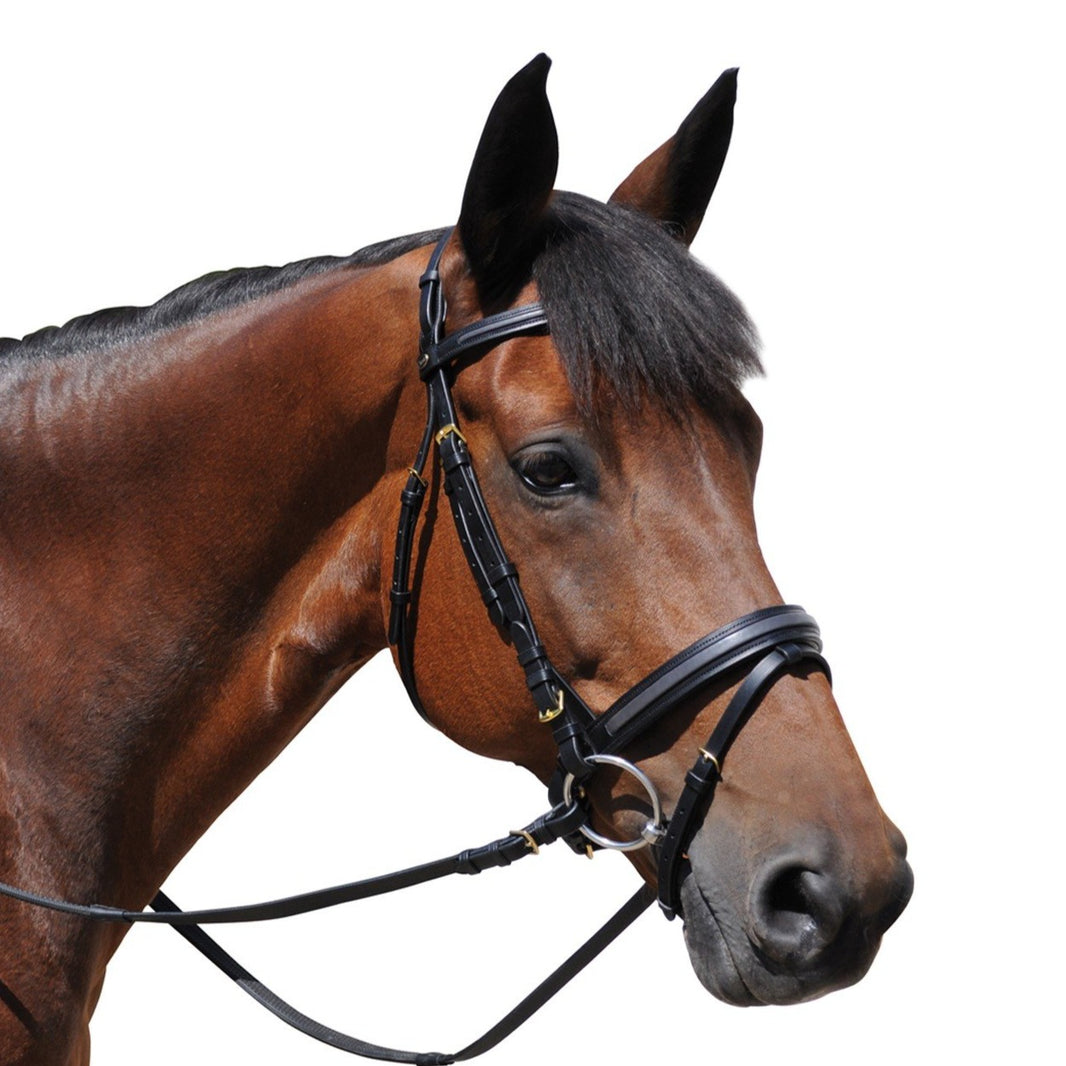 Bride Horze Sion avec Rênes, marron, (P) Poney marron Bride Horze Sion avec Rênes, marron, (P) Poney marron