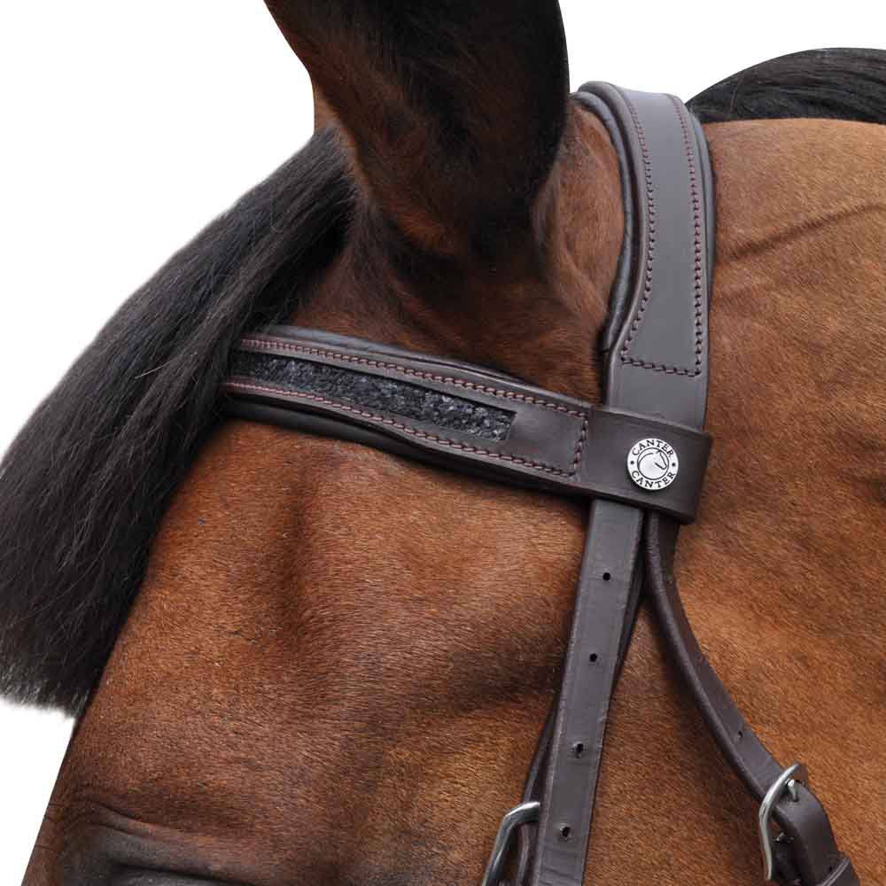 Bande de sourcils de cheval en cuir fantaisie de haute qualité Bande de sourcils de cheval en cuir fantaisie de haute qualité