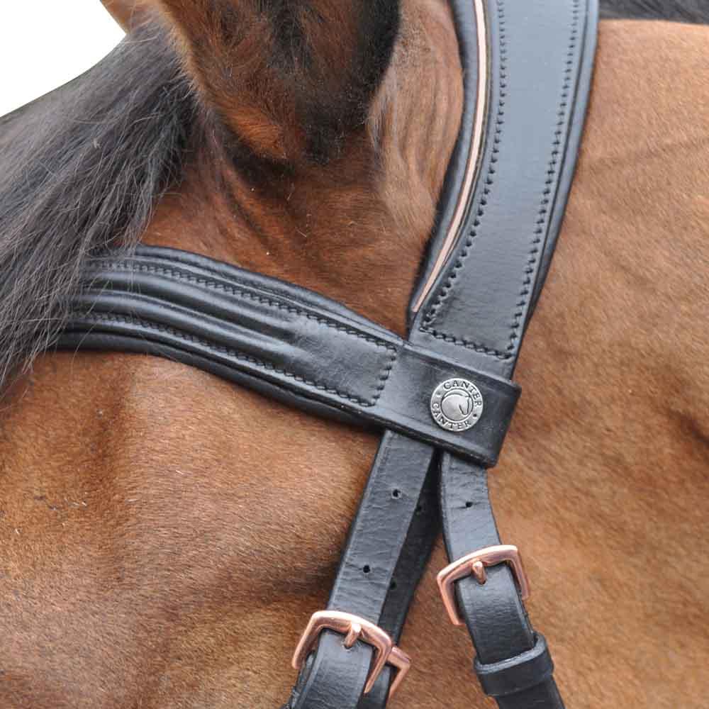 Bridon pour poneys et chevaux Canter Rosegold noir  détail bouclerie et têtière