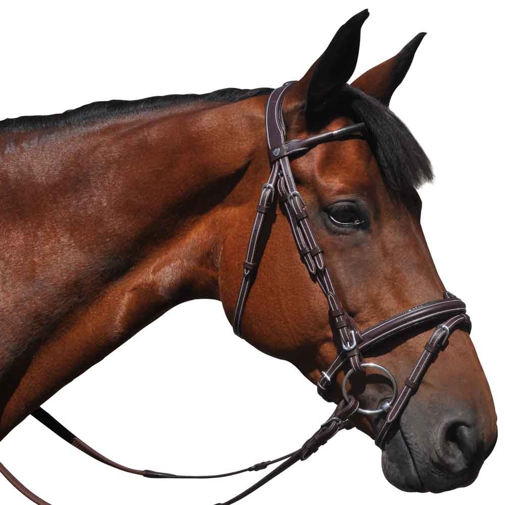 Bridon pour poneys et chevaux Flags andCup Doha marron
