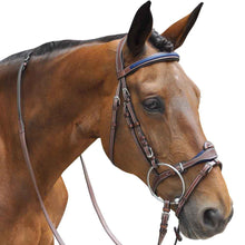 Charger l&#39;image dans la galerie, Bridon en cuir naturel pour chevaux et poneys Flags&amp;Cup Paris marron et bleu
