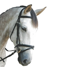 Charger l&#39;image dans la galerie, Bridon en cuir naturel pour chevaux et poneys Privilège Equitation Royan noir porté
