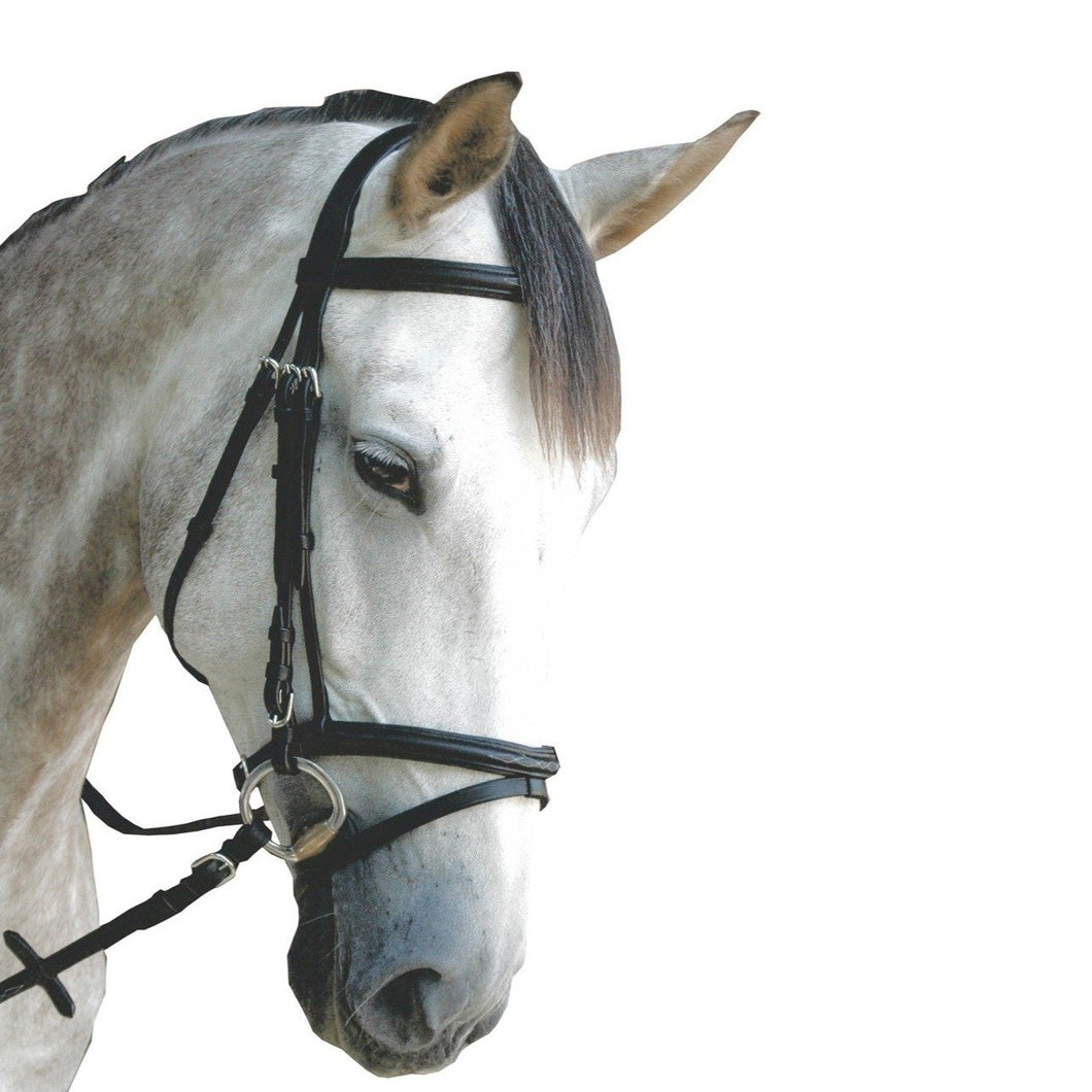 Bridon en cuir naturel pour chevaux et poneys Privilège Equitation Royan noir porté