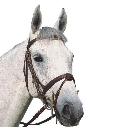 Quelles couleurs pour quel cheval? - Blog , équipement Quelles couleurs pour quel cheval? - Blog , équipement