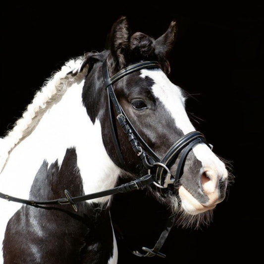 Bridon en cuir avec rênes pour shetlands, poneys et chevaux HKM Lou noir porté