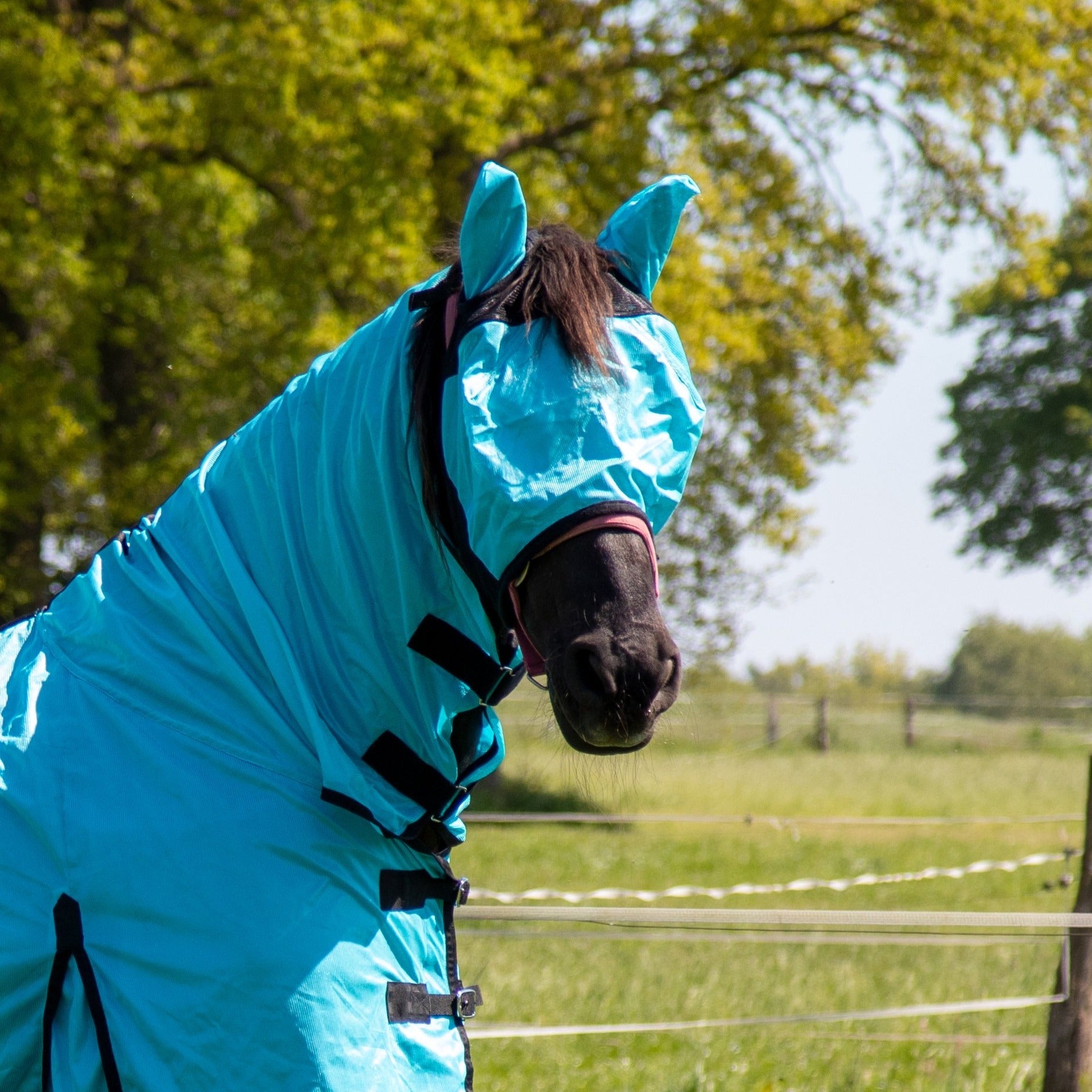 Masque anti-mouches pour poneys et chevaux HKM Aqua porté