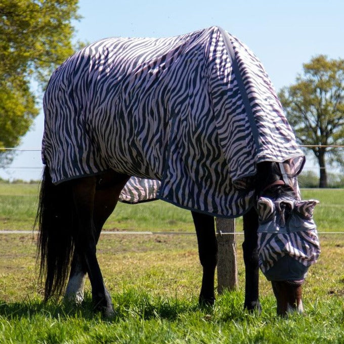 Chemise anti-mouches pour poneys et chevaux HKM Zebra rose