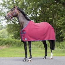 Charger l&#39;image dans la galerie, Chemise séchante polaire pour poneys et chevaux HKM Madrid bordeaux
