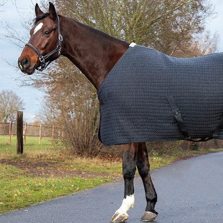 Chemise séchante aspect gaufré pour poneys et chevaux HKM Thermo Pro gris chiné