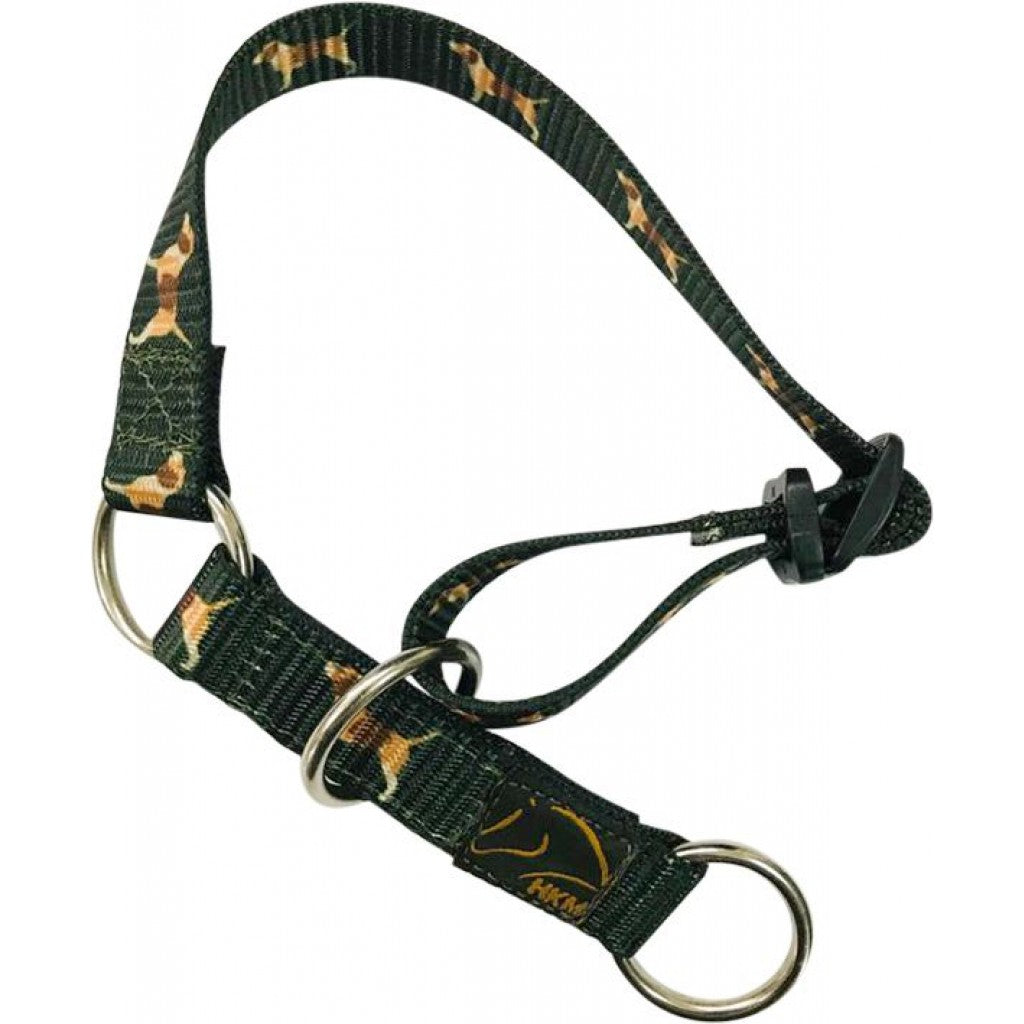 Collier pour chien avec laisse HKM Beagle vert