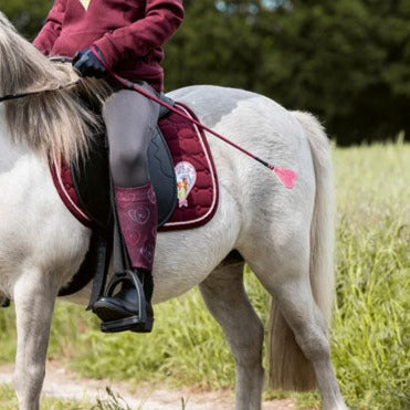 Cravache HKM Amelie avec claquette en forme de cœur