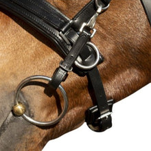 Charger l&#39;image dans la galerie, Filet caveçon pour poneys et chevaux HKM Comfort noir
