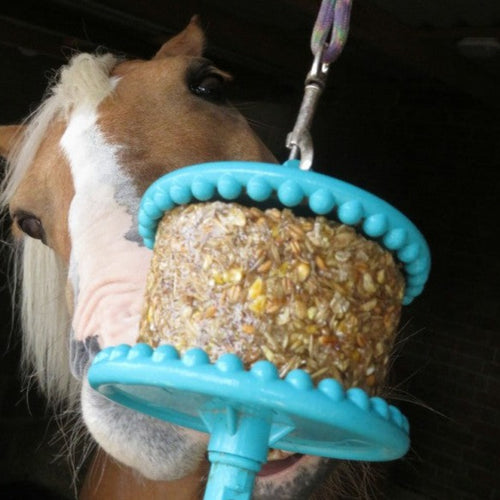 Bonbons pour chevaux 100% naturels Galo'Snack aux goûts exquis – En Selle  Prunelle