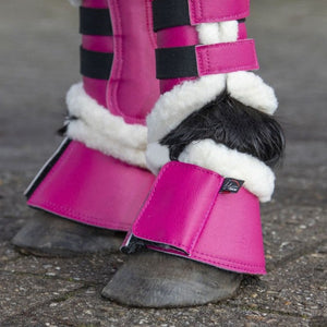Cloches pour shetlands et min shetlands HKM Comfort Shetty fuchsia portées