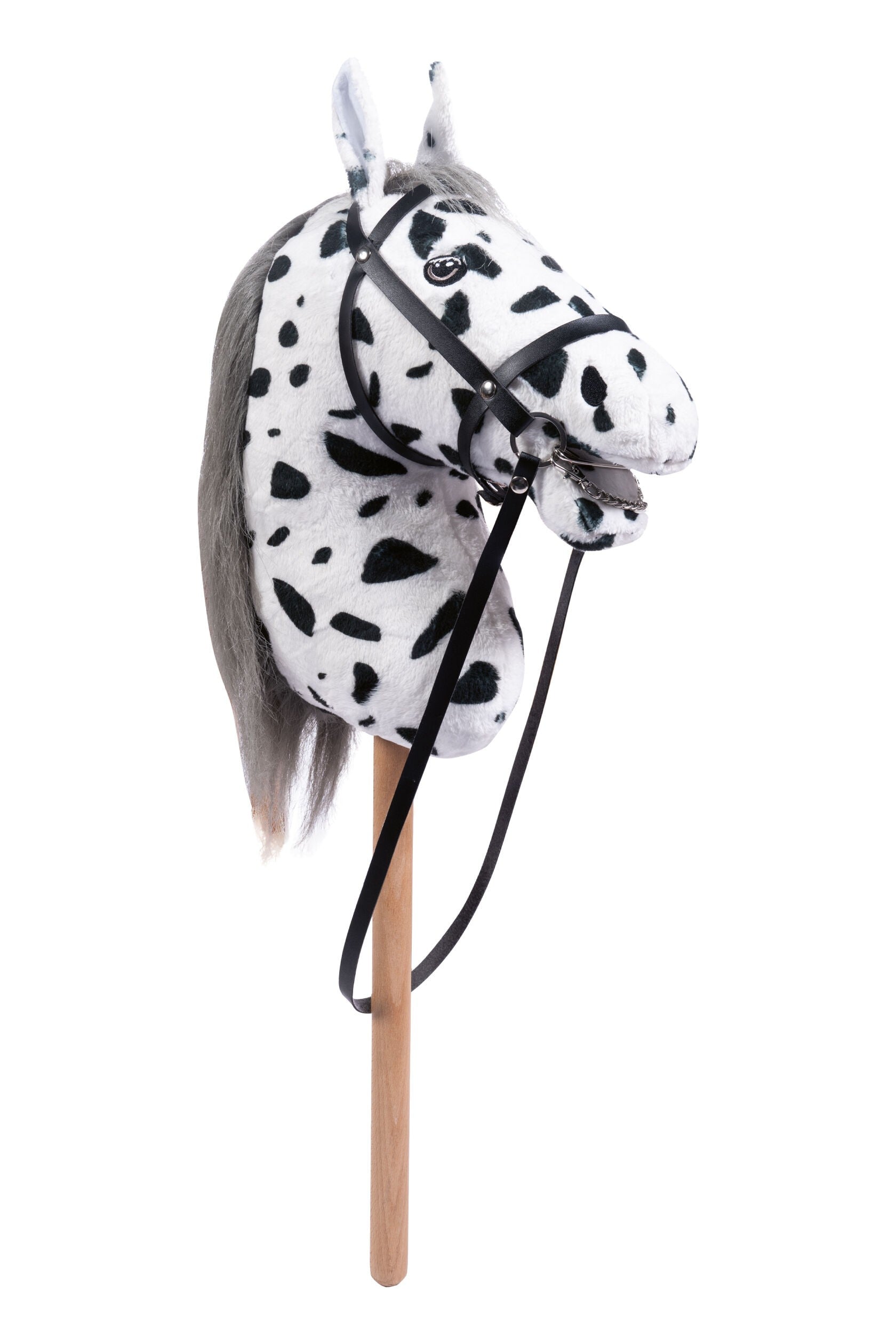 tête de cheval Photos | Adobe Stock tête de cheval Photos | Adobe Stock