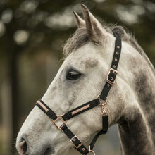 Charger l&#39;image dans la galerie, Licol pour chevaux Lami-Cell Sparkling noir et rosegold
