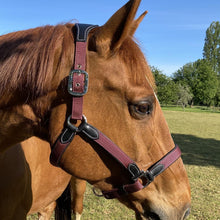 Charger l&#39;image dans la galerie, Licol en nylon doublé cuir pour poneys et chevaux Flags&amp;Cup Nylon bordeaux
