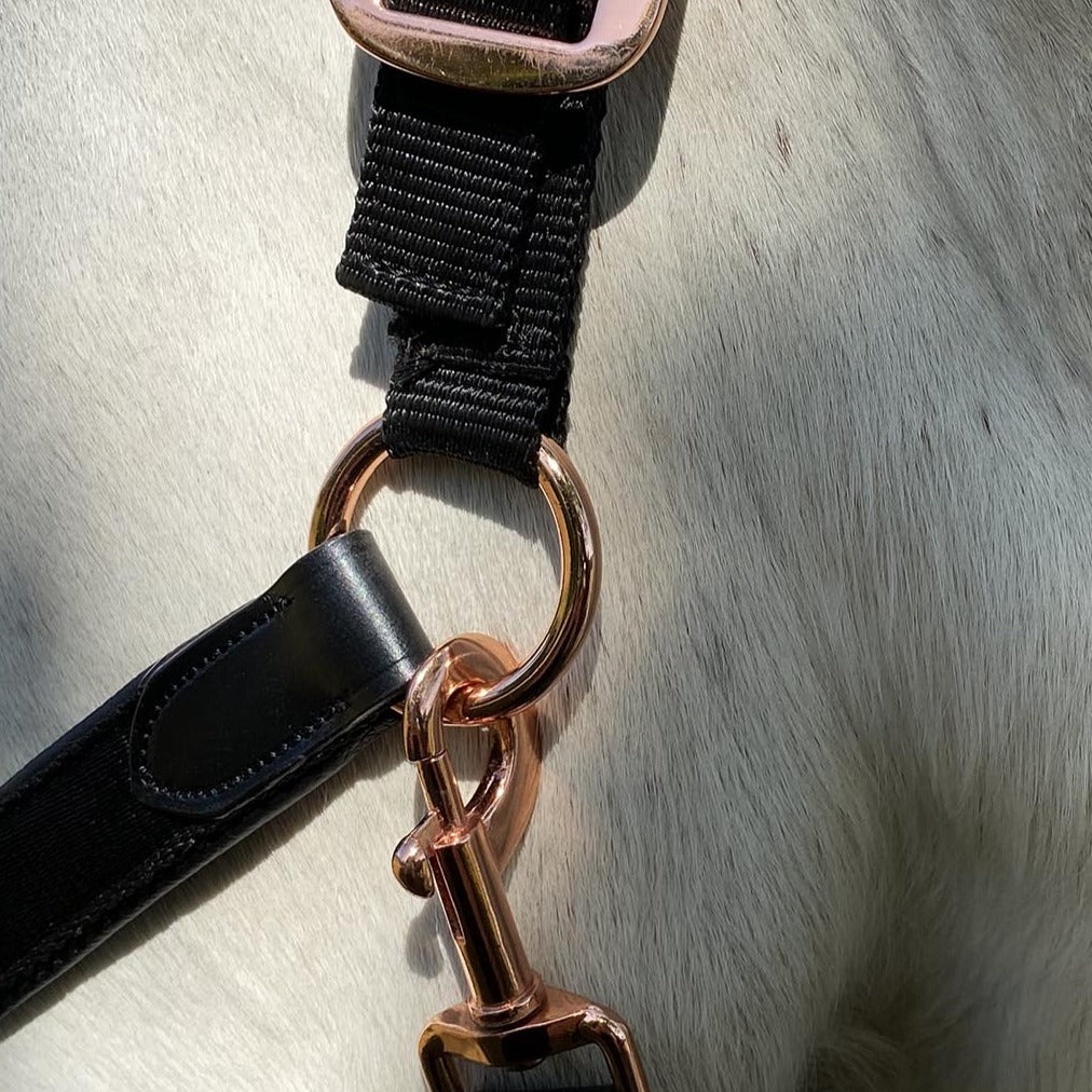 Détail de la bouclerie rose gold du licol en nylon doublé cuir pour poneys et chevaux Flags&Cup Nylon noir
