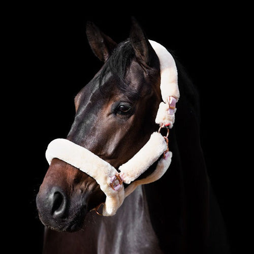 Licol doublé de fourrure synthétique pour poneys et chevaux Imperial Riding Go Star rose