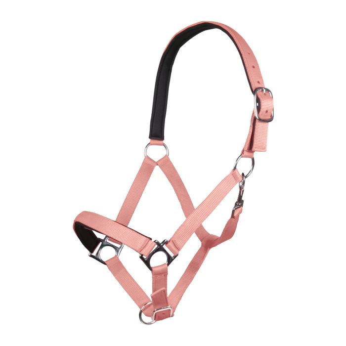 Licol pour shetlands, poneys et chevaux HKM Stars Soft corail