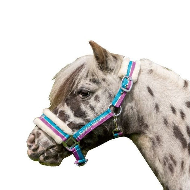 Ensemble Licol Et Laisse De Noël Pour Poney/cheval Miniature - Imprimé Flocons Rouges
