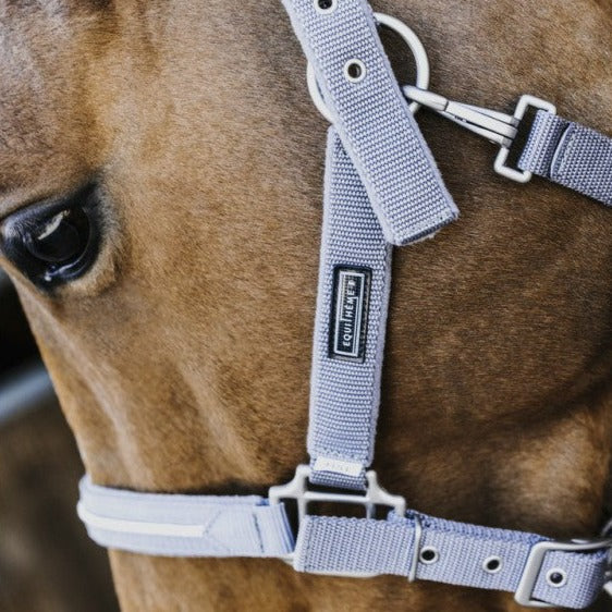 Licol avec longe pour poneys et chevaux Equithème French Touch gris