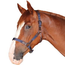 Charger l&#39;image dans la galerie, Licol en nylon doublé cuir pour poneys et chevaux Flags&amp;Cup Nylon cuir marron nylon marine
