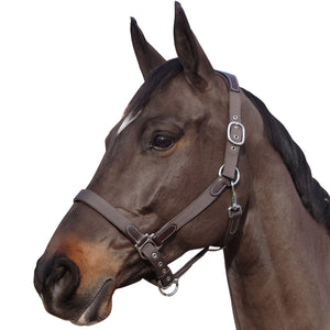 Licol en nylon doublé cuir pour poneys et chevaux Flags&Cup Nylon cuir et nylon marron