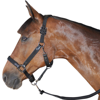 Licol en nylon doublé cuir pour poneys et chevaux Flags&Cup Nylon cuir, nylon et bouclerie noirs