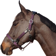 Charger l&#39;image dans la galerie, Licol en nylon doublé cuir pour poneys et chevaux Flags&amp;Cup Nylon cuir noir et nylon prune
