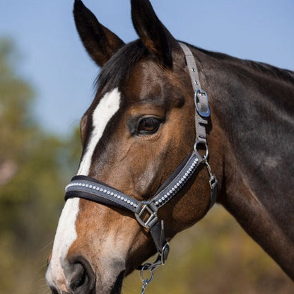 Licol pour shetlands, poneys et chevaux HKM Berry grisLicol pour shetlands, poneys et chevaux HKM Berry gris