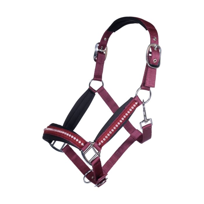 Licol pour shetlands, poneys et chevaux HKM Berry rouge cerise