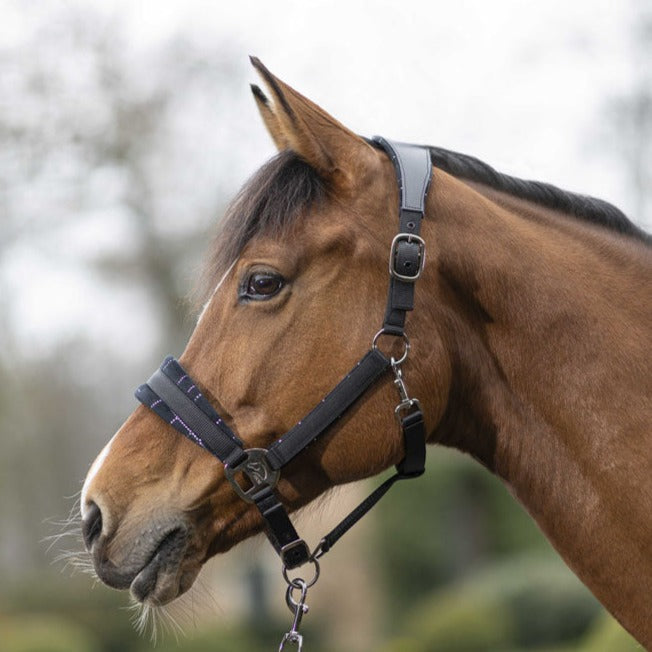 Licol pour poneys et chevaux HKM Port Royal noir