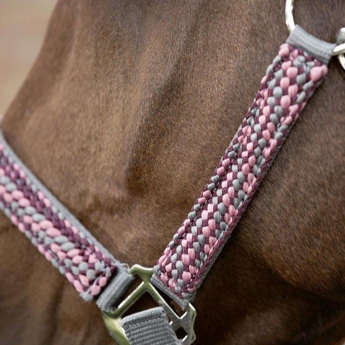 Licol avec longe pour poneys et chevaux HKM Della Sera détail