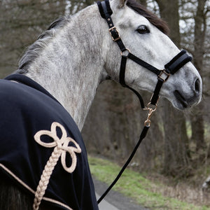 Chemise séchante en polaire pour poneys et chevaux HKM Glamour noire avec tresse de queue rosegold
