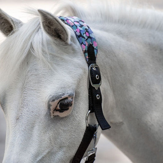 Licol pour shetlands, poneys et chevaux Imperial Riding Stormy noir