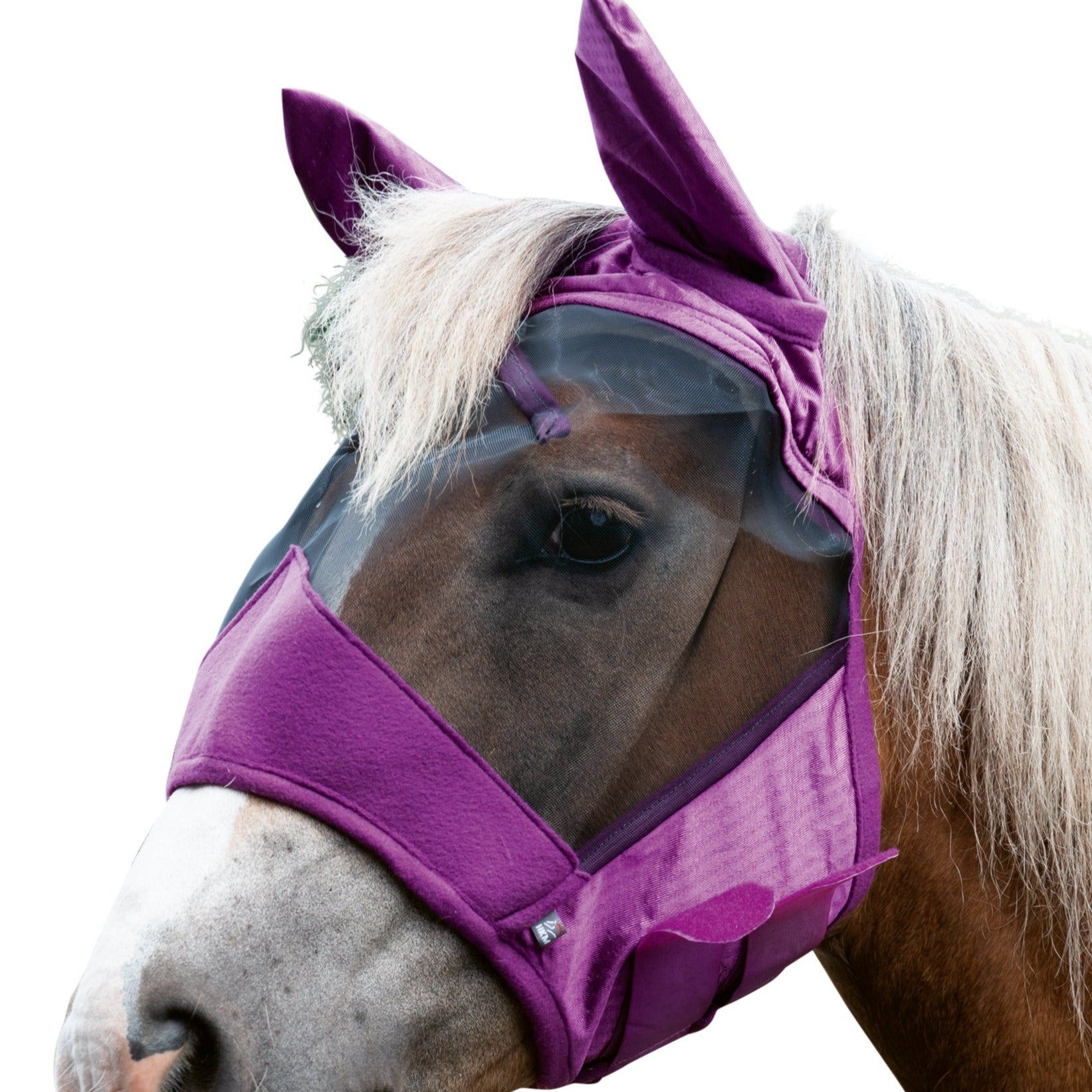 Masque anti-mouches pour poneys et chevaux HKM Pro violet